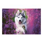 Nástenný kalendár 2026 - Psy