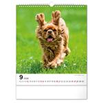 Nástenný kalendár 2026 Psy