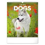 Nástenný kalendár 2026 Psy