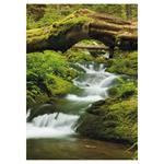 Nástenný kalendár 2026 Rieka čaruje