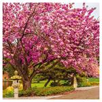 Nástenný kalendár 2026 Romantické miesta