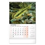 Nástenný kalendár 2026 Rybársky CZ