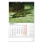 Nástenný kalendár 2026 Rybársky CZ