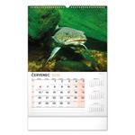 Nástenný kalendár 2026 Rybársky CZ