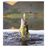 Nástenný kalendár 2026 Rybársky kalendár