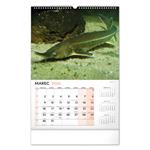 Nástenný kalendár 2026 Rybársky SK