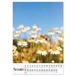 Nástenný kalendár 2026 slovenský Kvety