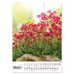 Nástenný kalendár 2026 slovenský Kvety