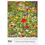 Nástenný kalendár 2026 slovenský Kvety