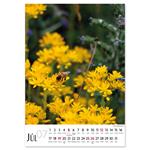 Nástenný kalendár 2026 slovenský Kvety