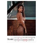 Nástenný kalendár 2026 slovenský Natural