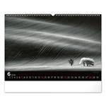 Nástenný kalendár 2026 Snová krajina