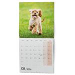 Nástenný kalendár 2026 Šteňatá