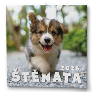 Nástenný kalendár 2026 Šteňatá