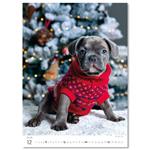 Nástenný kalendár 2026 - Šteniatka