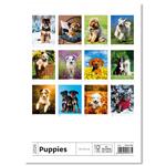 Nástenný kalendár 2026 - Šteniatka