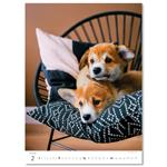 Nástenný kalendár 2026 - Šteniatka