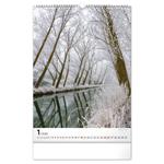 Nástenný kalendár 2026 Stromy