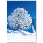 Nástenný kalendár 2026 - Stromy