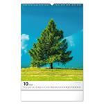 Nástenný kalendár 2026 Stromy