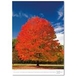 Nástenný kalendár 2026 - Stromy