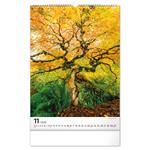 Nástenný kalendár 2026 Stromy