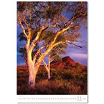 Nástenný kalendár 2026 - Stromy