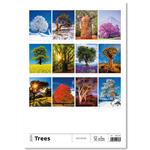 Nástenný kalendár 2026 - Stromy