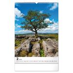 Nástenný kalendár 2026 Stromy