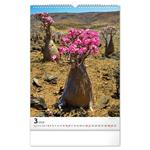 Nástenný kalendár 2026 Stromy