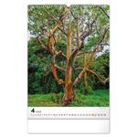 Nástenný kalendár 2026 Stromy