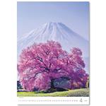 Nástenný kalendár 2026 - Stromy