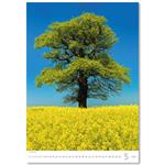 Nástenný kalendár 2026 - Stromy