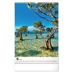 Nástenný kalendár 2026 Stromy