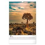 Nástenný kalendár 2026 Stromy