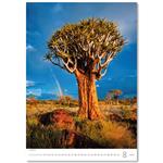 Nástenný kalendár 2026 - Stromy