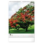 Nástenný kalendár 2026 Stromy