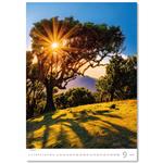 Nástenný kalendár 2026 - Stromy