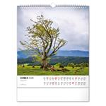 Nástenný kalendár 2026 Šumava