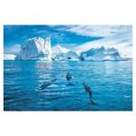 Nástenný kalendár 2026 - Svet v obrazoch