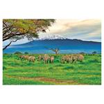 Nástenný kalendár 2026 - Svet v obrazoch