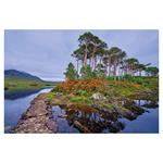 Nástenný kalendár 2026 Svetové národné parky