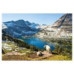 Nástenný kalendár 2026 Svetové národné parky