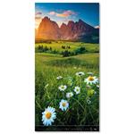 Nástenný kalendár 2026 - Verticalphoto