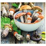 Nástenný kalendár 2026 viazanka - Čaro domova