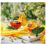 Nástenný kalendár 2026 viazanka - Čaro domova