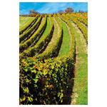 Nástenný kalendár 2026 Víno