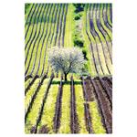 Nástenný kalendár 2026 Víno