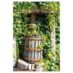 Nástenný kalendár 2026 Víno