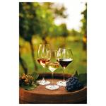 Nástenný kalendár 2026 Víno